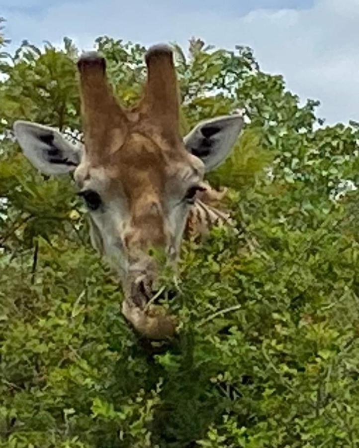 Overnight Stop Before Kruger National Park Phalaborwa Exterior photo