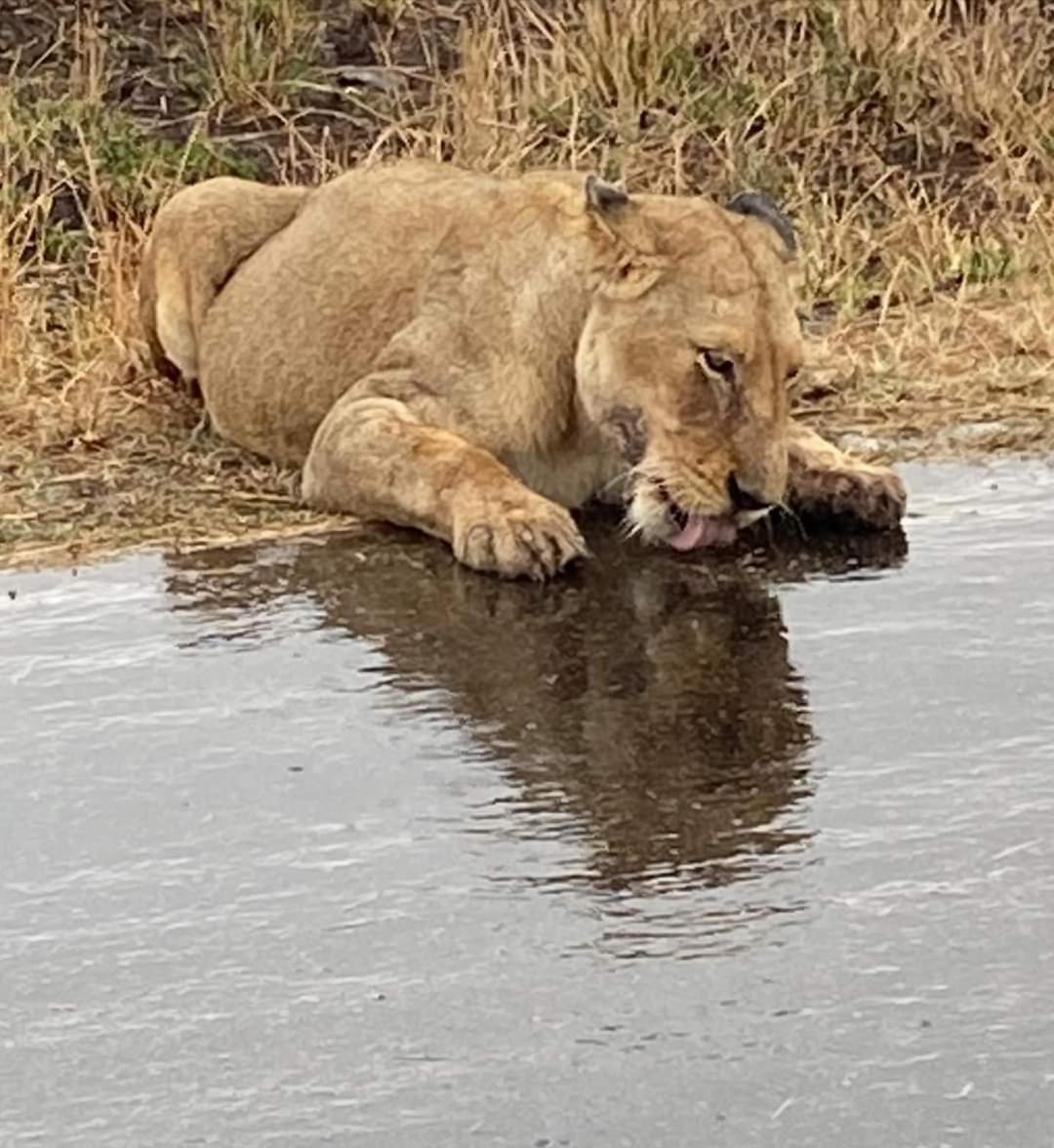 Overnight Stop Before Kruger National Park Phalaborwa Exterior photo