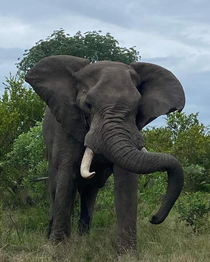 Overnight Stop Before Kruger National Park Phalaborwa Exterior photo